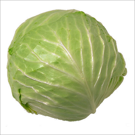 Cabbage