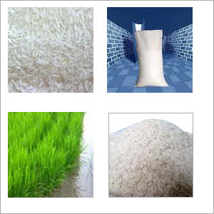 Rice