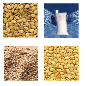 Roasted Natural Sesame Seeds