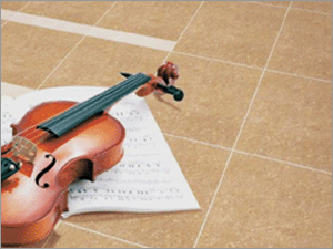 Multi Charged Polished Vitrified Tiles