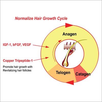 Homeopathic Hair Loss Treatment