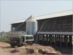 Feed Silo & Feed Conveyors