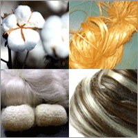 Cottons Fibre