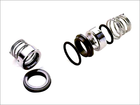 Roten Mechanical Seal Type 2