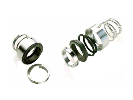Roten Mechanical Seal Type P