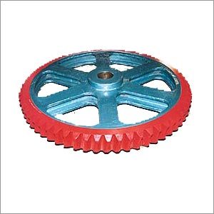 Worm Wheel