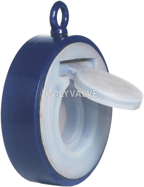 Fluoropolymer Lined Valves