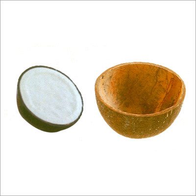 Oval Coconut Shell Ice Cream Cup