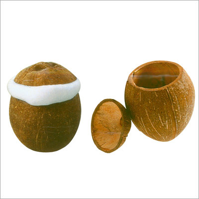 Coconut Shell Cups