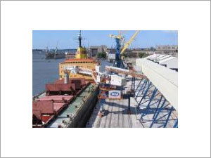 Clearing & Forwarding Agents