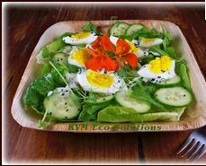 Areca Plates