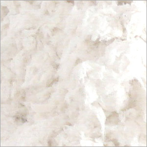 Cotton Waste