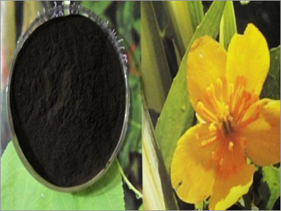 Khadira Extract