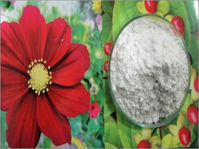 Amla Powder