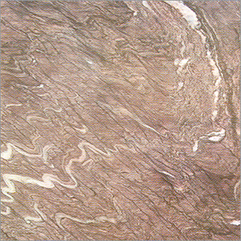 Rainforest Brown Marble