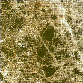 Dark Emperador Marble