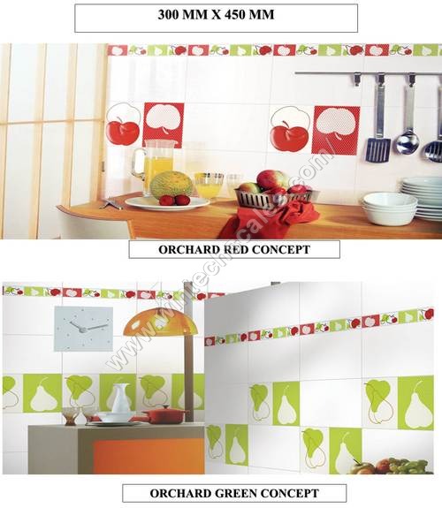 Trendy Ceramic Wall Tiles