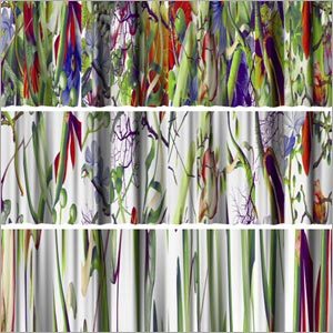 Printed Curtain