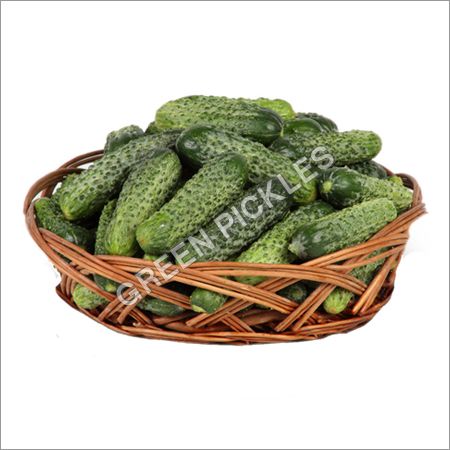 Fresh Gherkin