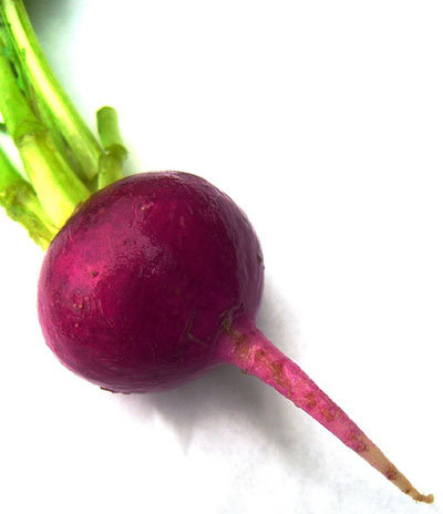 Fresh Beetroot