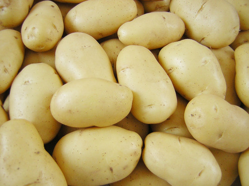 Farm Fresh Potatoes Farm Fresh Potatoes