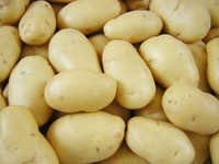 Farm Fresh Potatoes