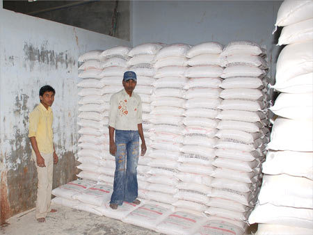 Nutritious Wheat Flour