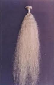 Natural White Hair