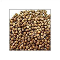 Coriander Seeds