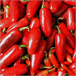 Red Chilli