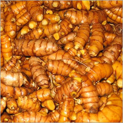 Turmeric