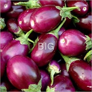 Fresh Brinjal