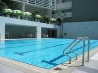 Swimming Pool Ladder