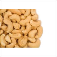 Fresh Cashew Nuts