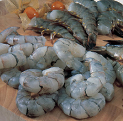 black Tiger Prawn