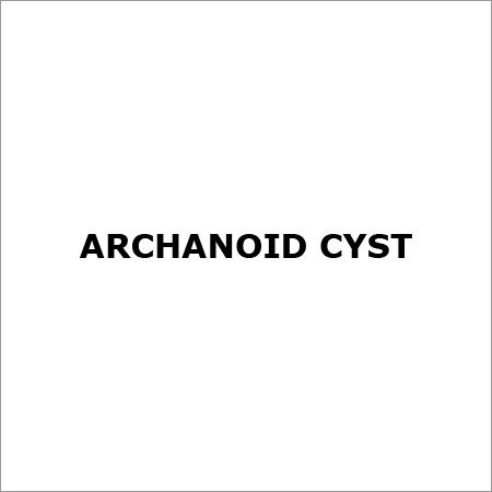 Archanoid Cyst