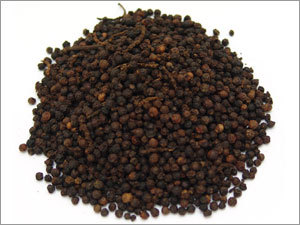 Black Pepper