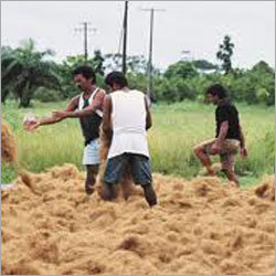 Coco Fibre