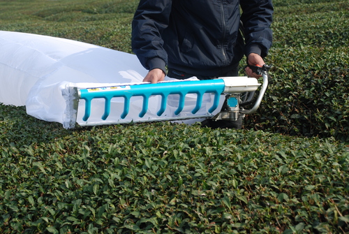 Tea & Cotton Harvester