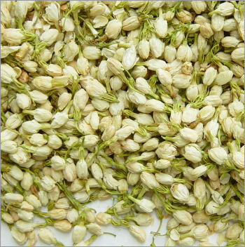 Jasmine Flower