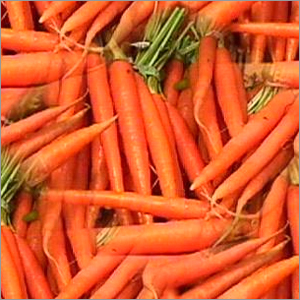 Carrot