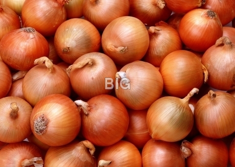 Red Onion