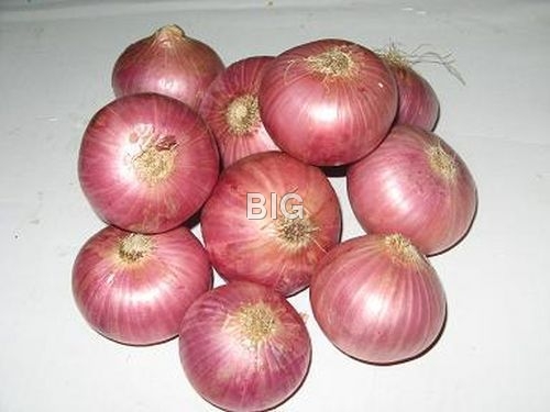 Big Red Onion