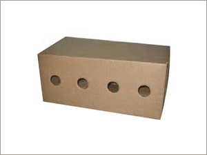 Broad Flute Corrougated Boxes