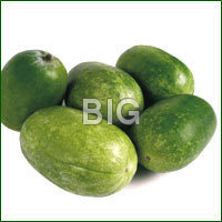 Ash Gourd