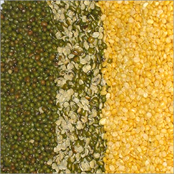 Indian Pulses - Organic Pulses, Varied Sizes, High Quality & Natural | Nutritious, Delicious, Versatile, Low Impurities, 12 Months Shelf Life