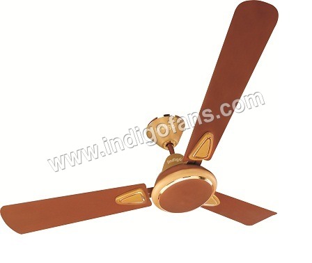 Gloriya 2 Golden Ceiling Fans