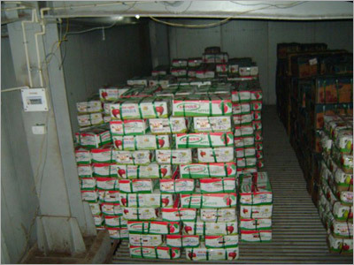 Apple Cold Storage