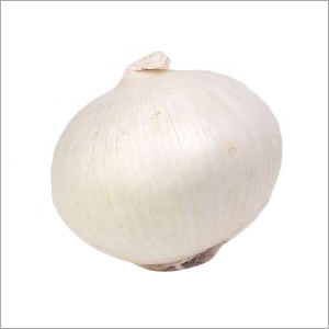 White Onion