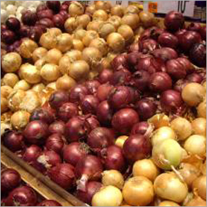 Onions - Red Round Variable Size | Fresh Flavorful Crisp Versatile Nutritious
